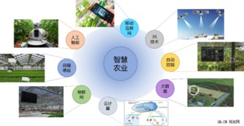 2015年農(nóng)業(yè)B2B互聯(lián)網(wǎng)行業(yè)報(bào)告 網(wǎng)絡(luò)技術(shù)開發(fā)趨勢(shì)與影響分析